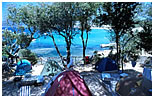 Camping Isola D'Elba